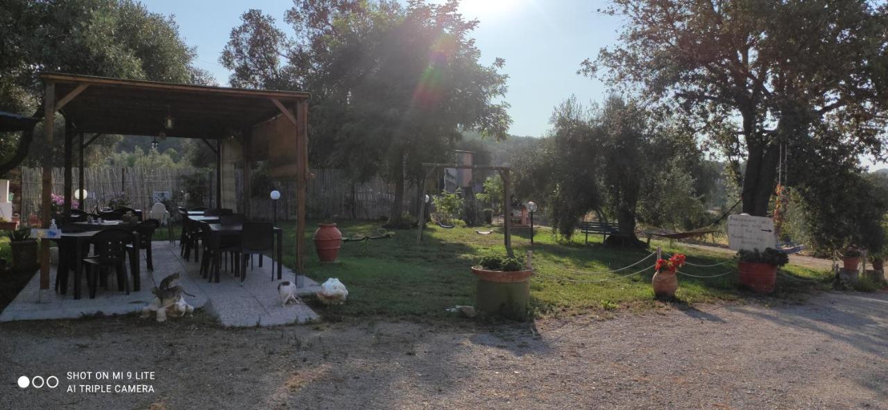 Agriturismo Poggio All'Olivo Follonica Exterior foto